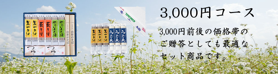 ギフト3000円コース