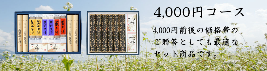 ギフト4000円コース